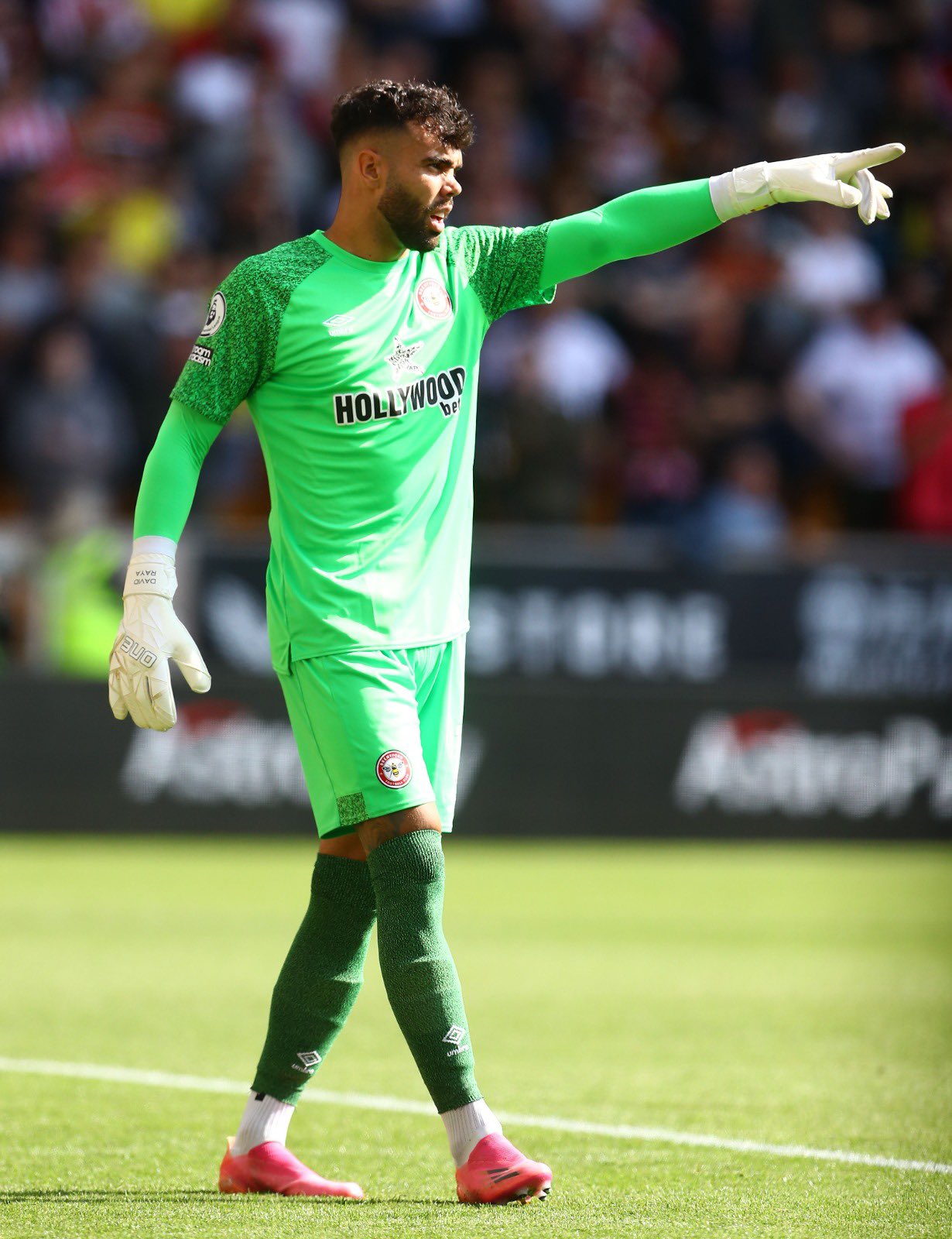 FPL GW6 Value Picks ~ David Raya 