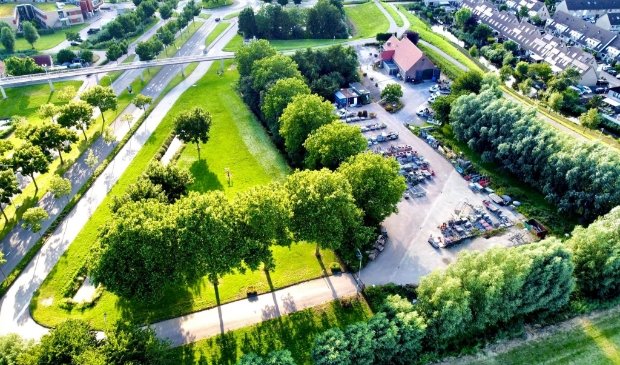 Aantal bomen plangebied Korte Schenkeldijk blijft gelijk