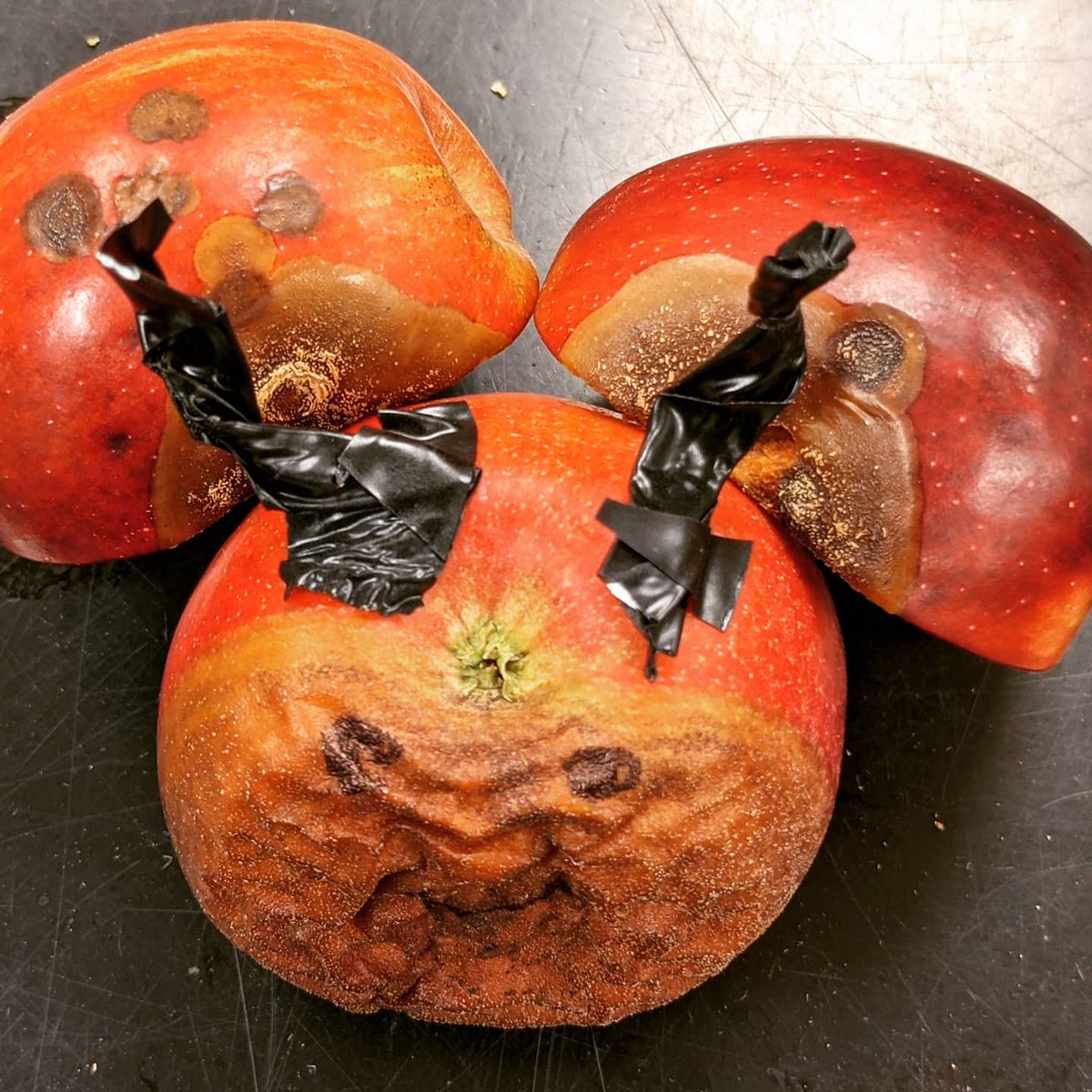 How to make bitter rot less bitter