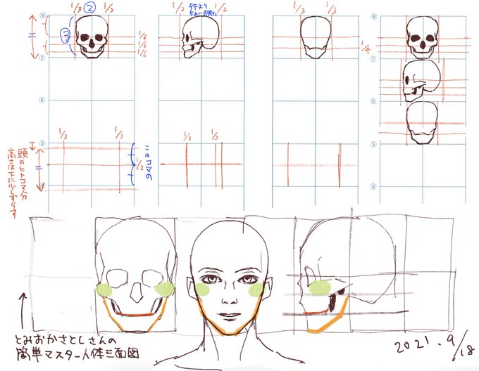 とみおかさとしさんの「簡単人体三面図」(1・2枚目)
骨と筋肉を同時に見られるしめっちゃテンション上がる!
これって格子模写なのでは…頭部描いただけでタイムオーバーしてしまったので続きはまた後日
 #日々描く 