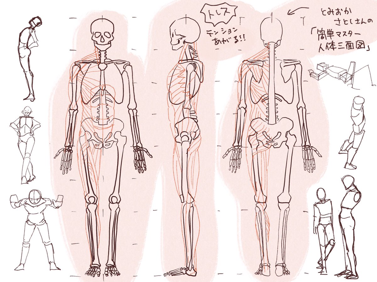 とみおかさとしさんの「簡単人体三面図」(1・2枚目)
骨と筋肉を同時に見られるしめっちゃテンション上がる!
これって格子模写なのでは…頭部描いただけでタイムオーバーしてしまったので続きはまた後日
 #日々描く 