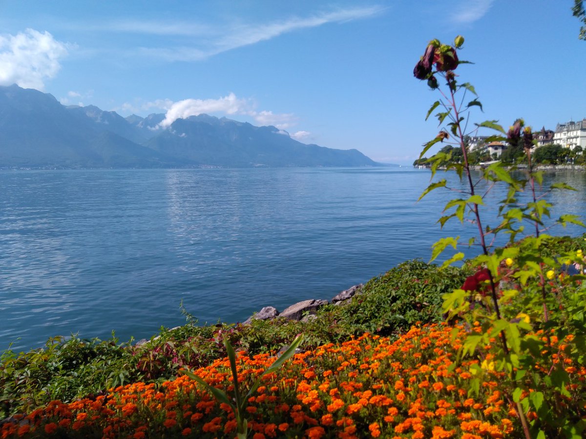scottstravel's tweet photo. Mike tries to Jazz up Montreaux

Switzerland's one of the most accessible places to visit if fully vaccinated. 

https://t.co/O0txEEgcTw

PIck Mike's brains and plan your visIt -  020 8882 0141. https://t.co/e7rHPLJZG8