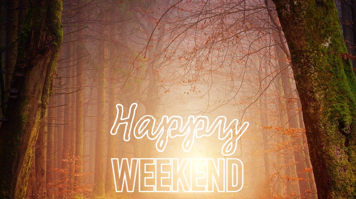 Have a great weekend!