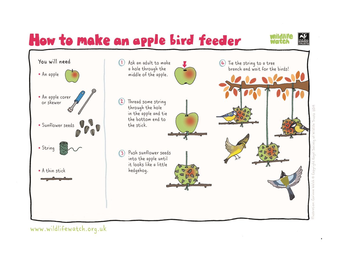 How to bird. Make a Bird Feeder. Apple Bird. Bird Feeder перевод. Feed the Birds Day.