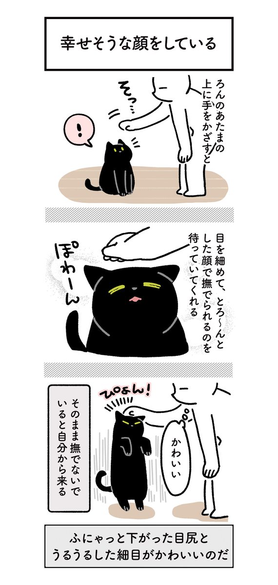 ねこのかわいい表情に夢中な絵日記(2まい) #ろんの絵日記 