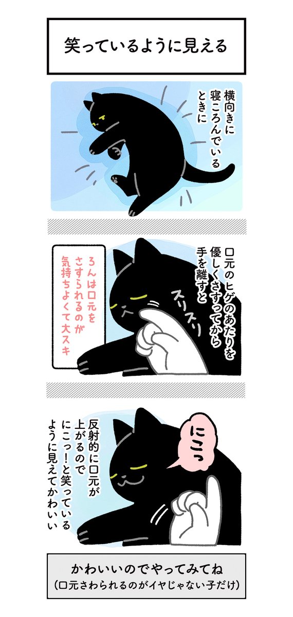 ねこのかわいい表情に夢中な絵日記(2まい) #ろんの絵日記 