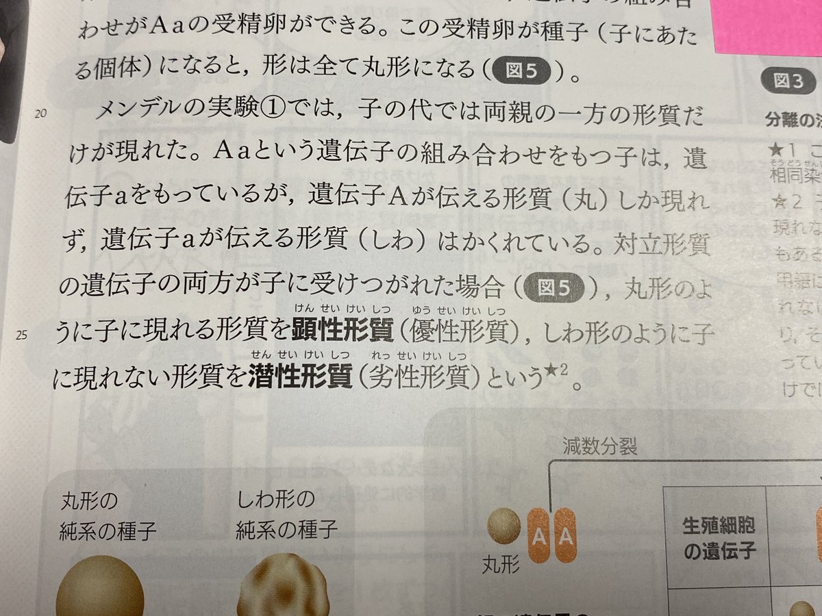 Rsider's tweet photo. 【「優性と劣性」から「顕性と潜性」へ】中学校の理科教科書では、日本遺伝学会の用語改訂を受けて今年度から「顕性/潜性」が使われています。「優性/劣性」は注の中で言及されています。優性が優れているというミスリードの原因となってきたことが一つの理由です。写真は東京書籍「新しい科学３」 https://t.co/7GxvBCpLy1