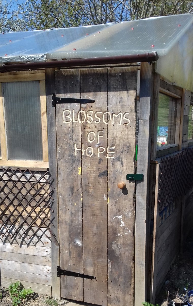 Singleton Environment Centre tweet media