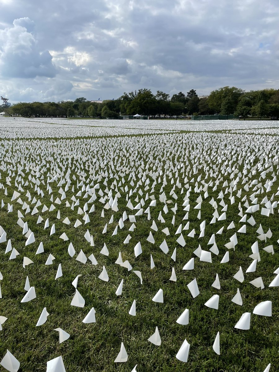 seagerje's tweet photo. Powerful memorial for those who’ve lost their lives to COVID-19. https://t.co/rEOVyjPSov