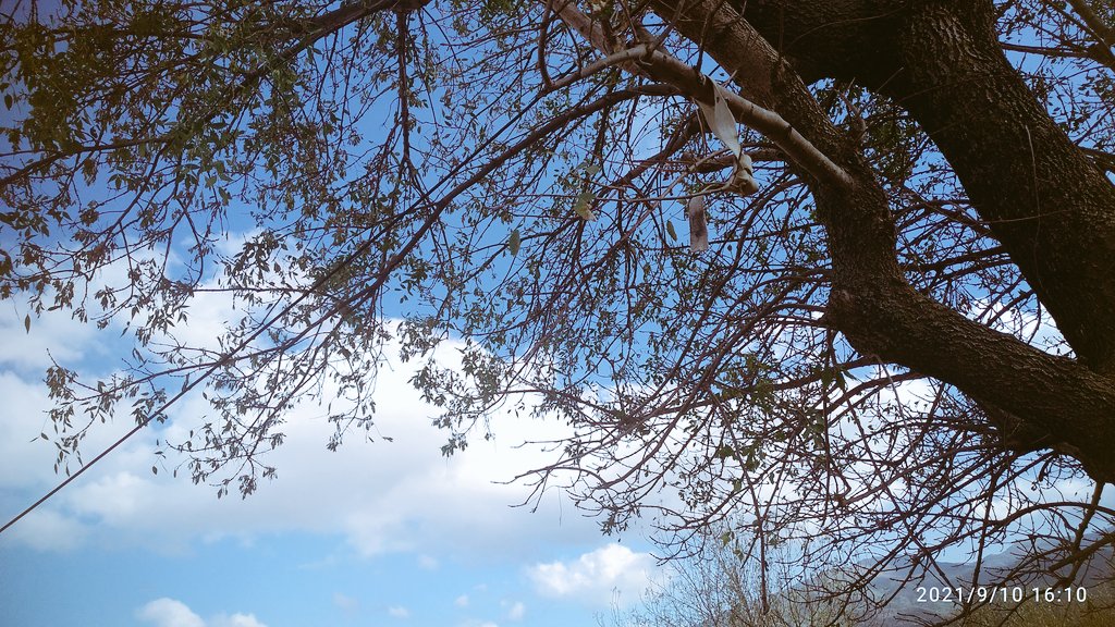 حين احلق في سماء مخيلتي  ارتاح كل الراحة لأنني اجد انني في حيزي المغلق ومكاني الكبير✨🌹