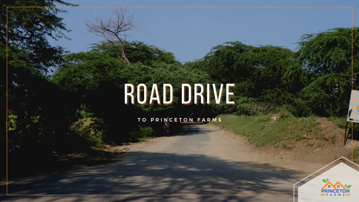 PrincetonFarms's tweet photo. Princeton farms community is only 15 minutes from DHA Phase-6.

https://t.co/2RjWVl2uwk
.
.
.
.
.
#video #community #peace #nature #serenity #princetonfarms #roaddrive #DHA #drive #lahore #farmhouse #landscape #PakistanZindabad #PakSafeAndProudCountry #YouTubeShorts #YouTuber https://t.co/p5Ni8hnGOP