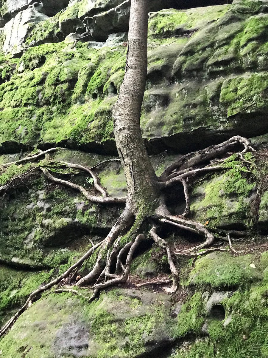 maexplorer21's tweet photo. Another day, another incredible place in PA #bilgersrocks 
@ccbackwoods @visitPA @BilgersRocks 

Come check out the story!
https://t.co/dpfm8lzO75 https://t.co/n4C1r24lb8