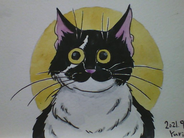 Theresa is looking forward to the full moon of September.
 #pasericat