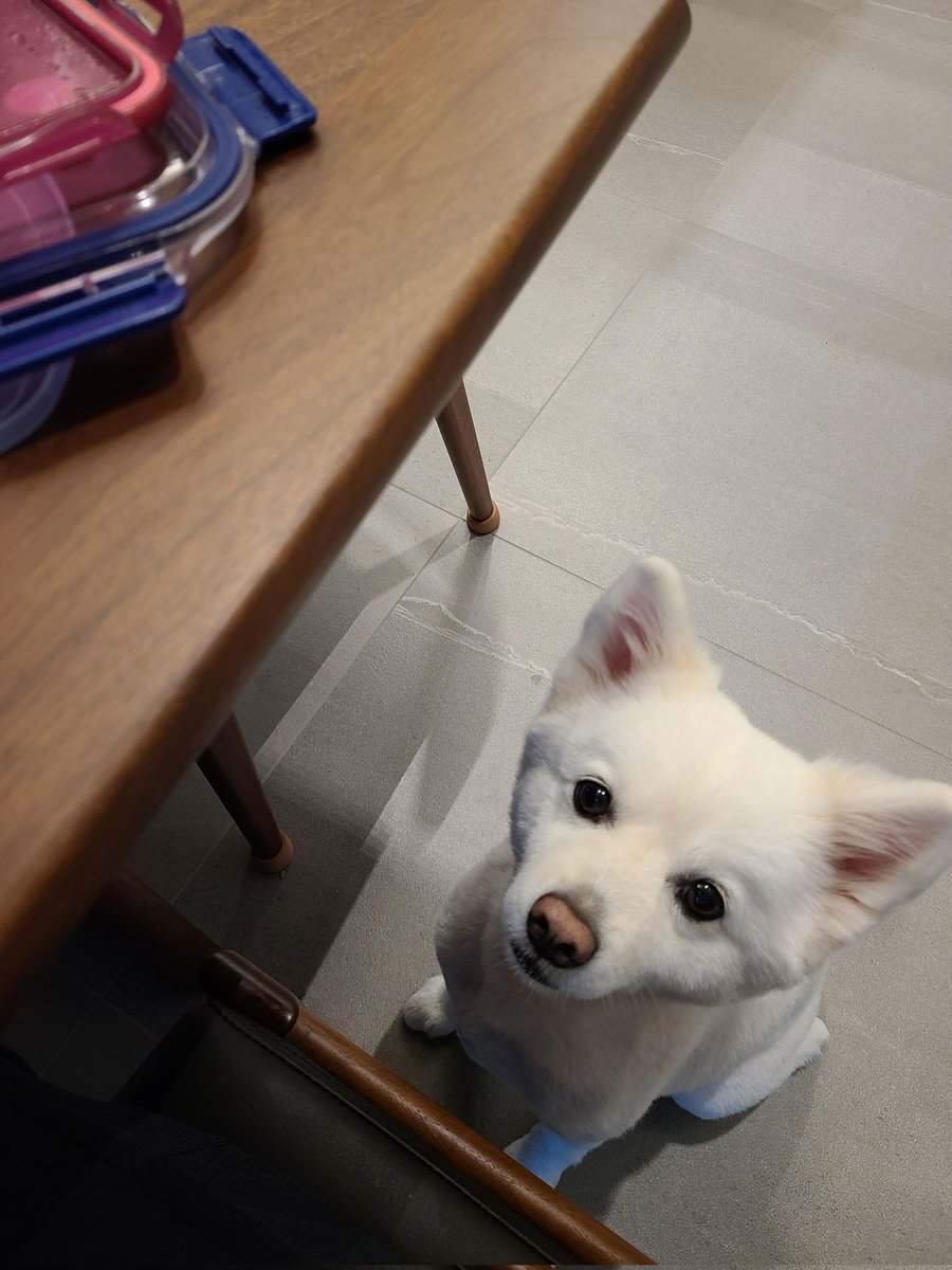 Namjoon_print's tweet photo. #RM Shared a moment on Weverse 🌟
210918

🐨: Hyung don't go?? 

#Namjoon  #방탄소년단알엠 #남준 @BTS_twt https://t.co/XN8itgJy3s
