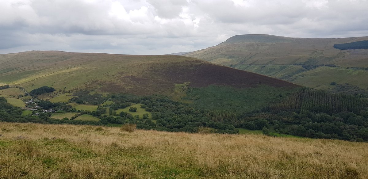 Backwell School D of E tweet media