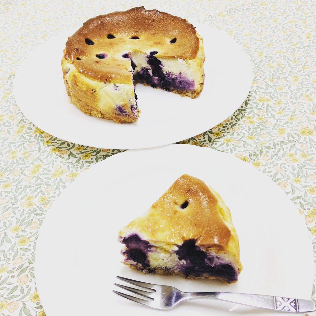 🫐🫐🫐
ブルーベリーの郷さんの大粒冷凍ブルーベリーを使用したブルーベリーチーズケーキ🍰直径15cm　税込1,650円
チーズの濃厚さとブルーベリーの甘酸っぱさがマッチしてて、たまらん一品です🥺🫐
#ブルーベリーケーキ #小菊荘 #菊川市テイクアウト  #菊川市ランチ  instagram.com/p/CT4pqBvP0nH/…