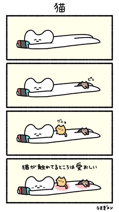 猫 
