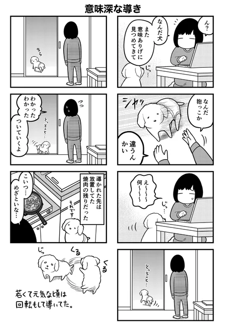 老犬が飼い主を導く時 