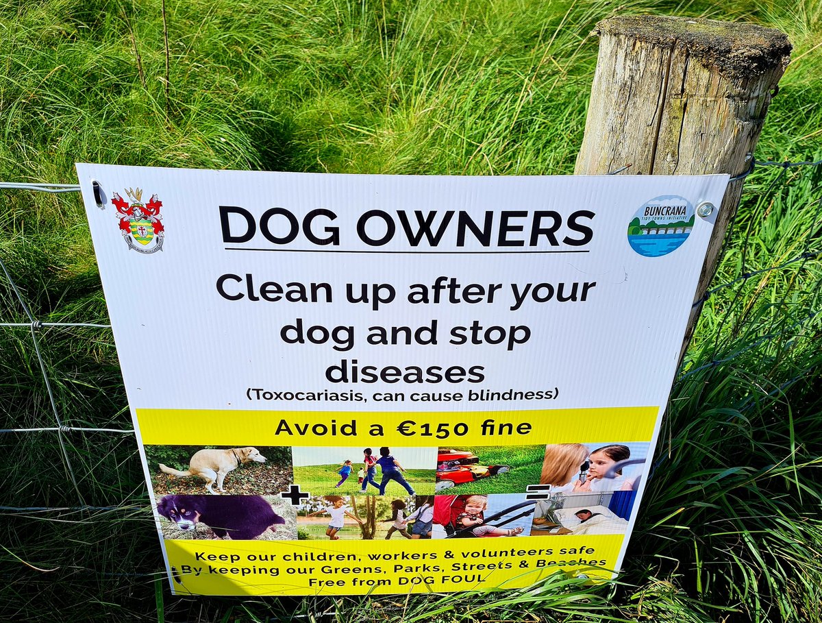 BuncranaTidyTowns (@buncranatt) on Twitter photo Brilliant joint initiative between <a href="/donegalcouncil/">Donegal County Council</a> & Buncrana Tidy Towns. Huge thanks to Brian Doyle ๐ Dog fouling is sadly a very real public health hazard. Dogs left out on their own in the town or in estates add to this problem. #Community Brilliant joint initiative between <a href="/donegalcouncil/">Donegal County Council</a> & Buncrana Tidy Towns. Huge thanks to Brian Doyle ๐ Dog fouling is sadly a very real public health hazard. Dogs left out on their own in the town or in estates add to this problem. #Community