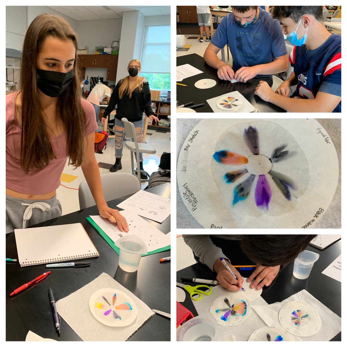 A little Friday afternoon chromatography- always fun!  Go Lions in the Lab!