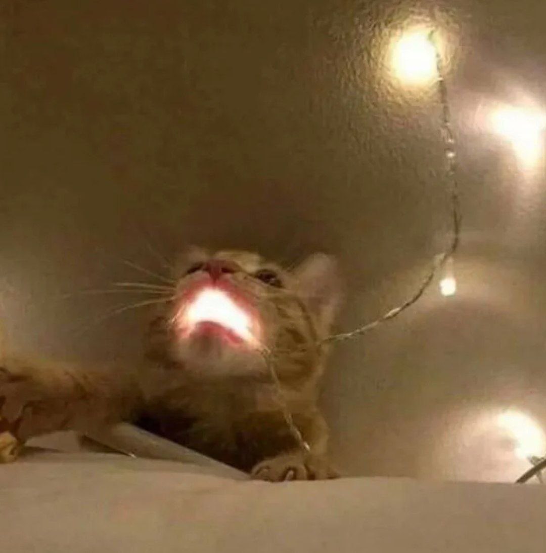 MemesTablita's tweet image. Cuando haces croquetas y no puedes esperar a que se enfríen