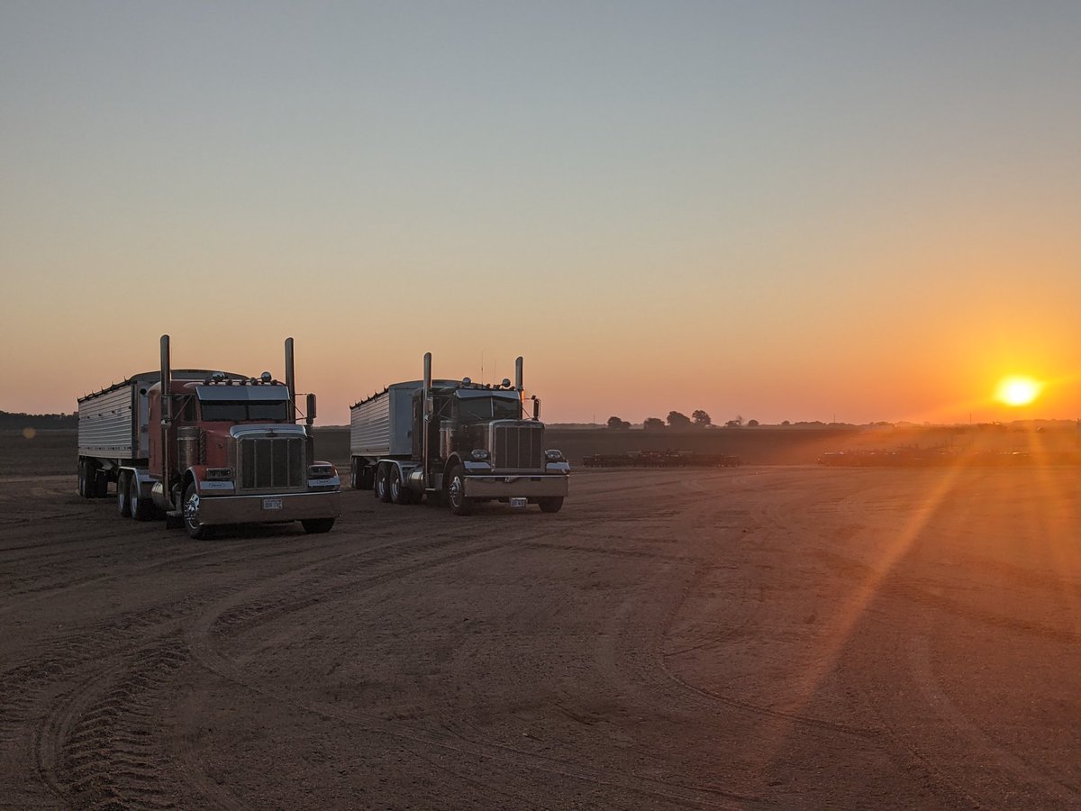 JustinNoland6's tweet image. Fall harvest 21 has finally begun!