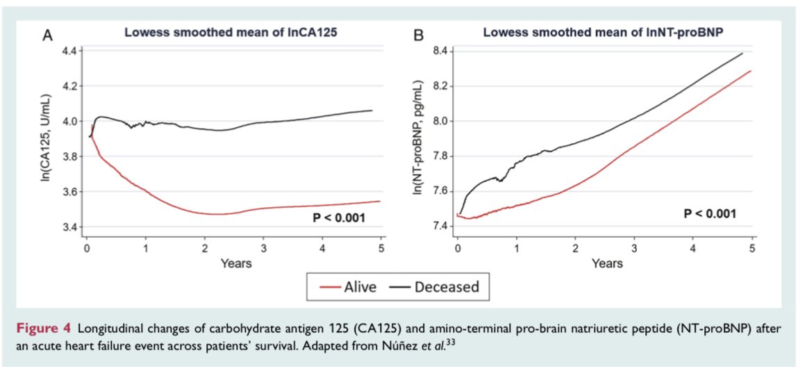 Javier Torres (@jtllergo) on Twitter photo ⚠️ Antigen carbohydrate 125 as a biomarker in heart failure: a narrative review‼️
📌 🇪🇸 Great Team‼️<a href="/secardiologia/">Soc Esp Cardiología</a> <a href="/SVCardio/">SVCardio</a>
<a href="/yulnunezvill/">Julio</a> <a href="/rdelaespriella/">Rafael de la Espriella</a> <a href="/gema_minana/">Gema Miñana</a> <a href="/SantasEnrique/">Enrique Santas</a> <a href="/PatriciaPalau1/">Patrícia Palau</a> <a href="/JuanSanchisFor/">Juan Sanchis</a>
onlinelibrary.wiley.com/doi/full/10.10… ⚠️ Antigen carbohydrate 125 as a biomarker in heart failure: a narrative review‼️
📌 🇪🇸 Great Team‼️<a href="/secardiologia/">Soc Esp Cardiología</a> <a href="/SVCardio/">SVCardio</a>
<a href="/yulnunezvill/">Julio</a> <a href="/rdelaespriella/">Rafael de la Espriella</a> <a href="/gema_minana/">Gema Miñana</a> <a href="/SantasEnrique/">Enrique Santas</a> <a href="/PatriciaPalau1/">Patrícia Palau</a> <a href="/JuanSanchisFor/">Juan Sanchis</a>
onlinelibrary.wiley.com/doi/full/10.10…