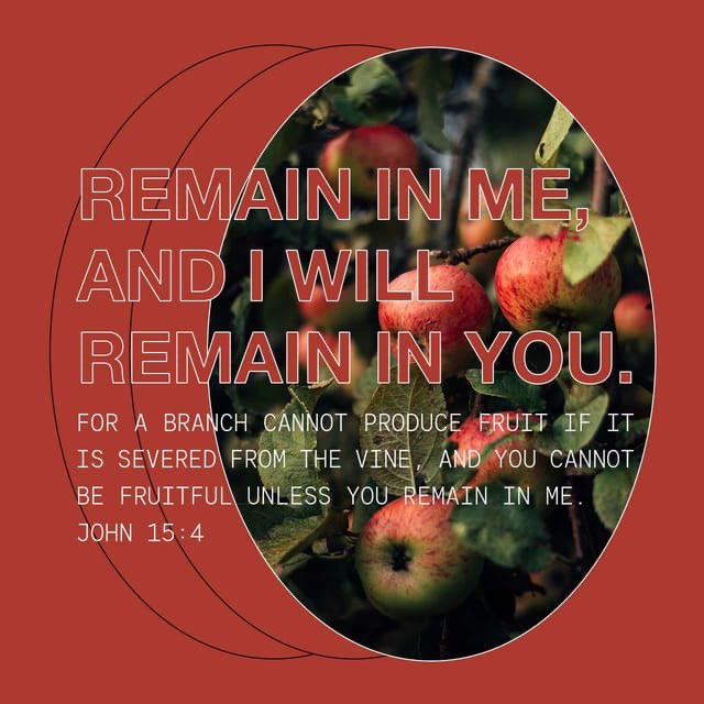 My desire is to know You and to be known of You Lord! bible.com/bible/1/jhn.15…