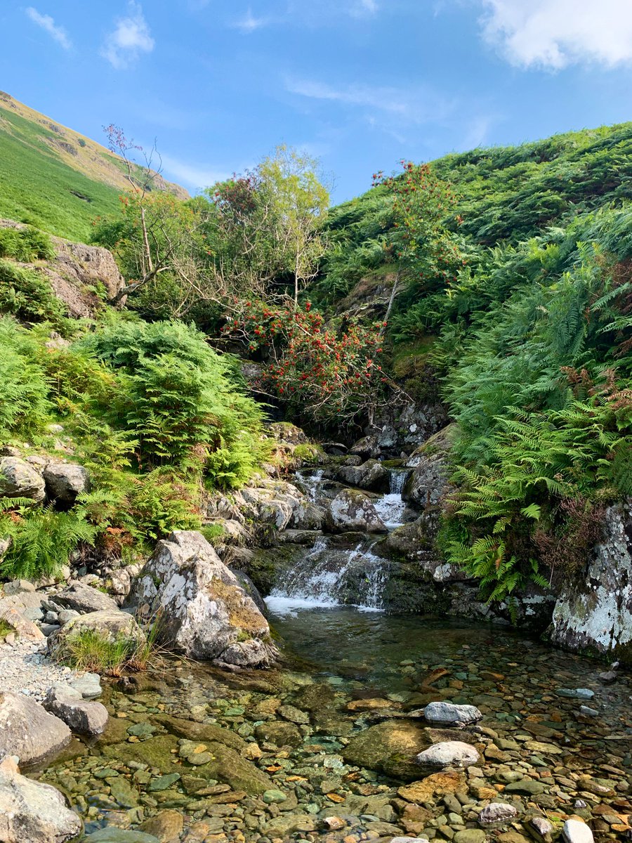 Simon Burgess tweet media