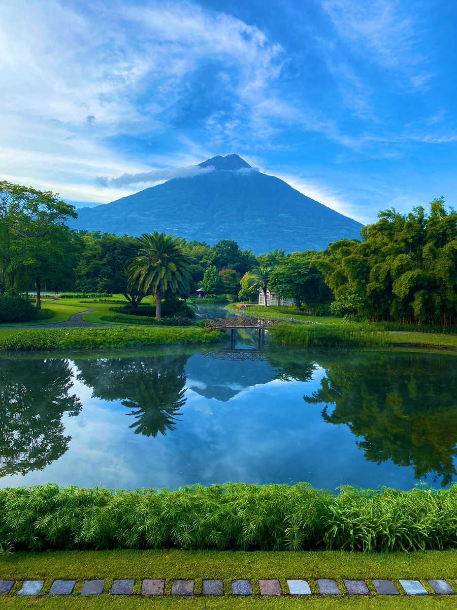 Juan Carlos Zapata S. tweet media