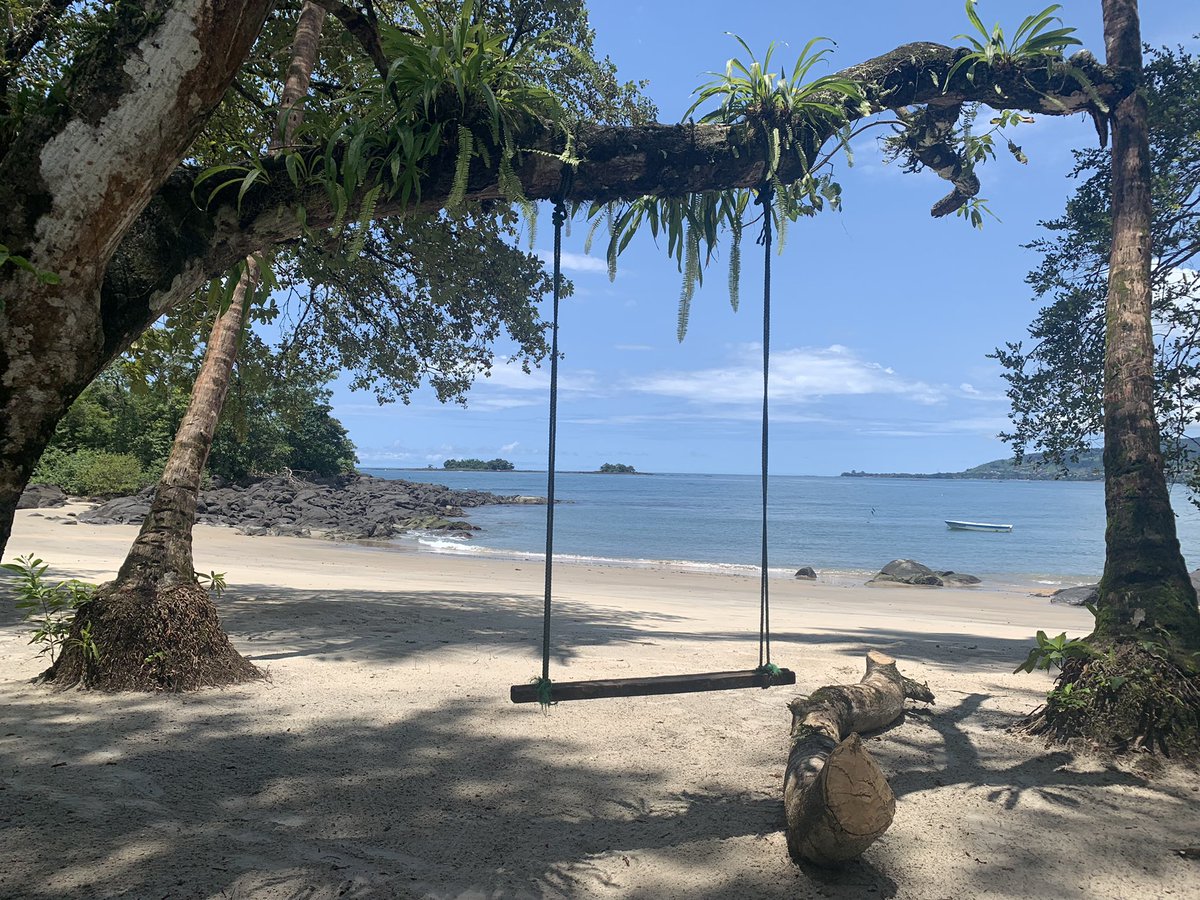 Swinging into a stunning Saturday afternoon Salone style #SierraLeone