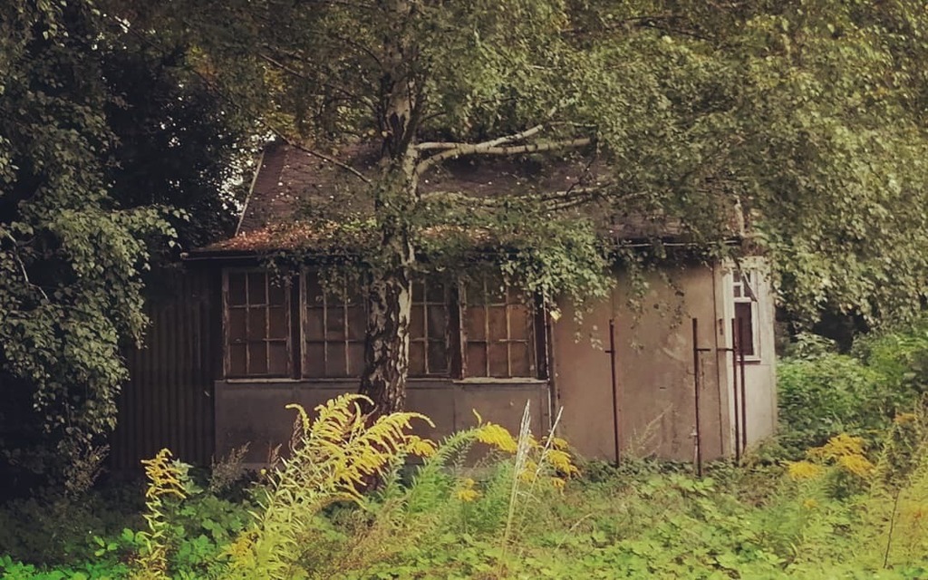 Neu auf Instagram: Wo ist der Urbex Trampelpfad😜👀

#urbex #urbexeurope #entdecken #germandecay #urbandecay #forgottenplaces #lostplace #lost #spannend #berlin #spaziergang #vergesseneorte #verfall #verlassen