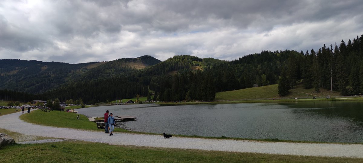 A3803's tweet photo. Kühe in Österreich. ;) #Teichalm https://t.co/oJKfSbUOr1