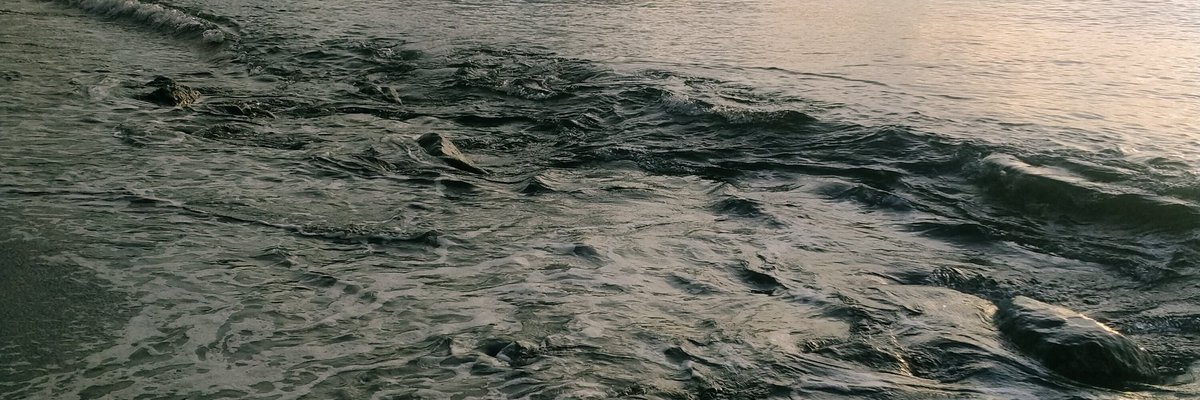 AlexSam_19 tweet picture
