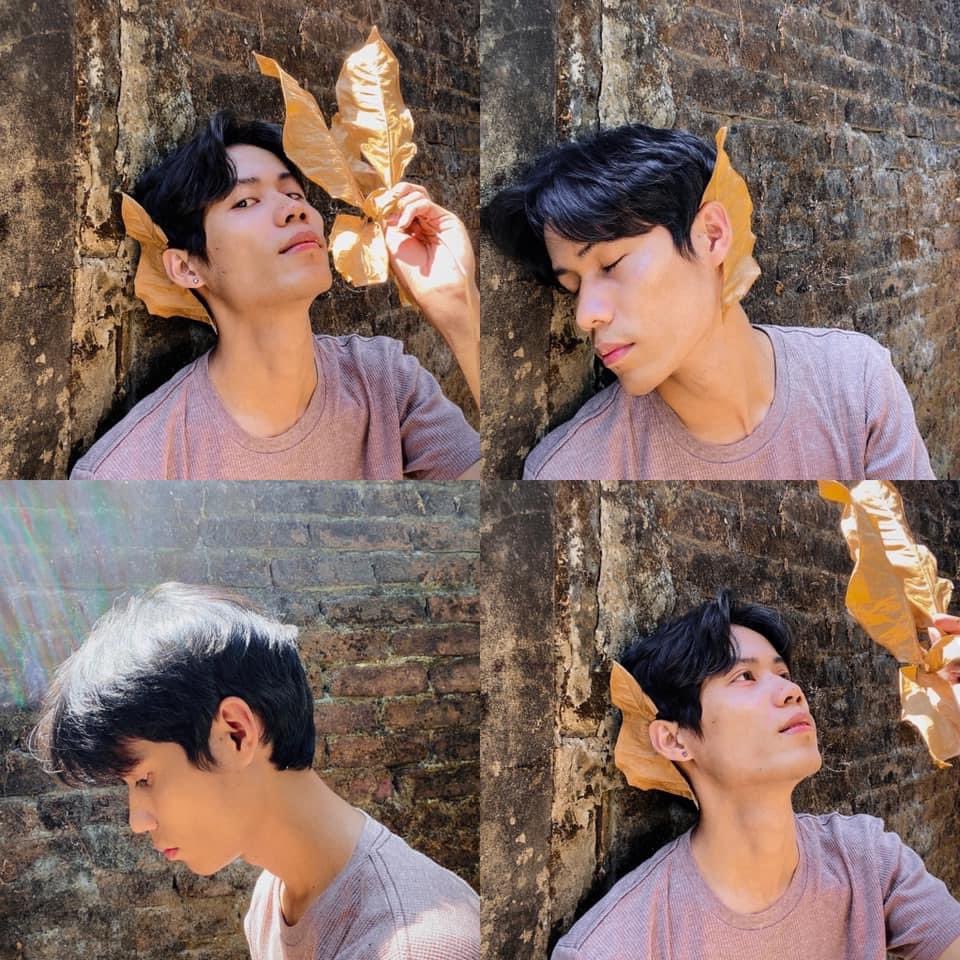 Han_Thar_Thwin's tweet photo. Last leaf left, admired for being alive.....🍀 https://t.co/BaUwmIwaCt