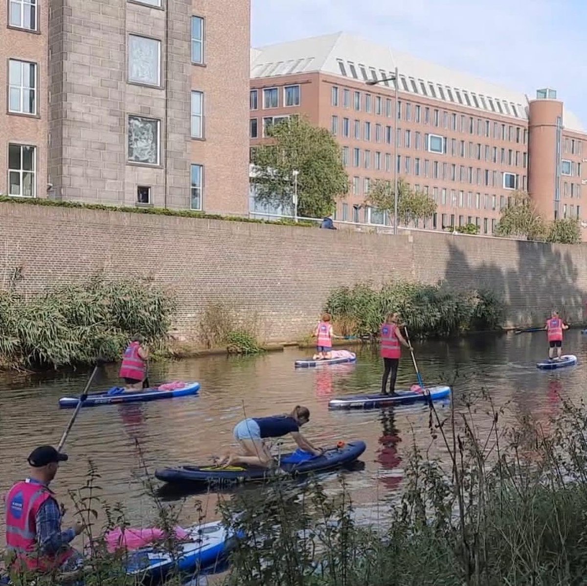 Dijkgraaf Mario tweet media