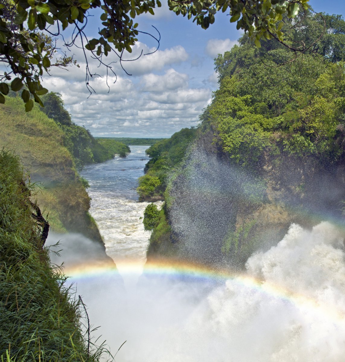 SaveVirunga's tweet photo. @IUCN the disappearance of biodiversity and encroachment of critical ecosystems such as IUCN designated areas #SaveMurchisonFalls cannot go unnoticed anymore. It is time for IUCN to take a bold stand #StopEACOP https://t.co/GEVFIcnMIJ