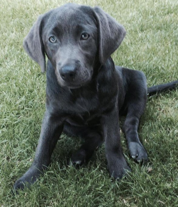 SUKI 🥰 https://t.co/FXba2tSR36