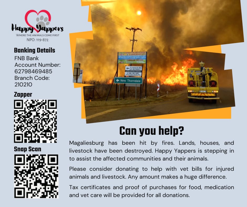 The fires have been devastating and I'm amazed they haven't been covered in the news. Communities and their animals have been badly affected, the burn wounds are too horrific to post.