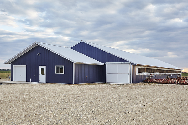 LesterBuildings's tweet image. In honor of September being National Chicken month, did you know there are more than 25 billion chickens in the world?
There are more chickens than any other bird species on Earth and they also outnumber humans 4 to 1. #LesterBuildings #PoultryBarn #PoultryBuilding