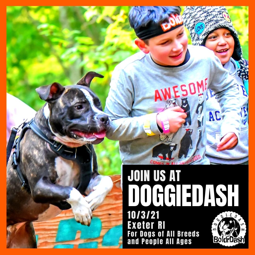 RhodeRunnerInc's tweet image. Looking to run a race with your pupper? Be sure to check out our friends at @BoldrDash who are hosting the Doggie Dash! All doggies welcome, proceeds from this event go to Vintage Pet Rescue. Register here: ow.ly/yazI30rUn4W