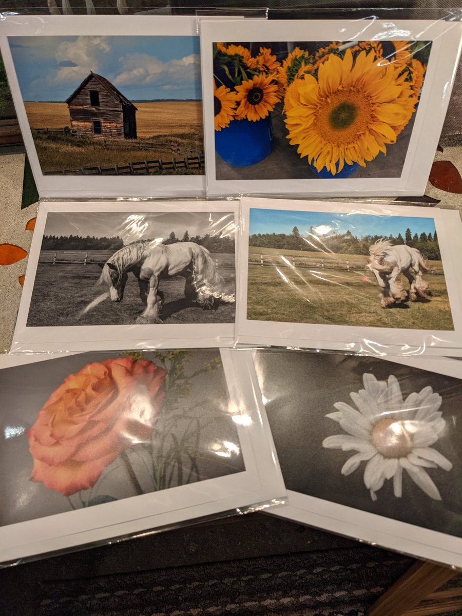 Daimonzaka's tweet photo. The newest collection of notecards is now available! The best of Alberta! 8-3pm today! Aisle 7 Mindscapes Photography 📷 https://t.co/dxpbR1J62U