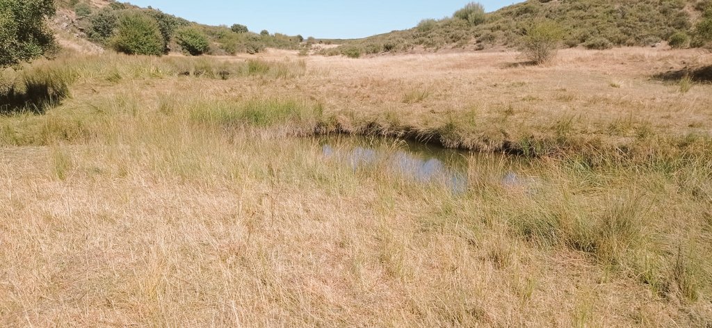 La venta.. Hay pozos Con agua y poco de verde