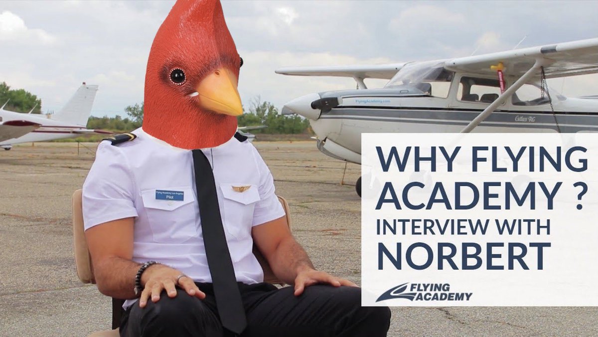 Ostin Power tweet media