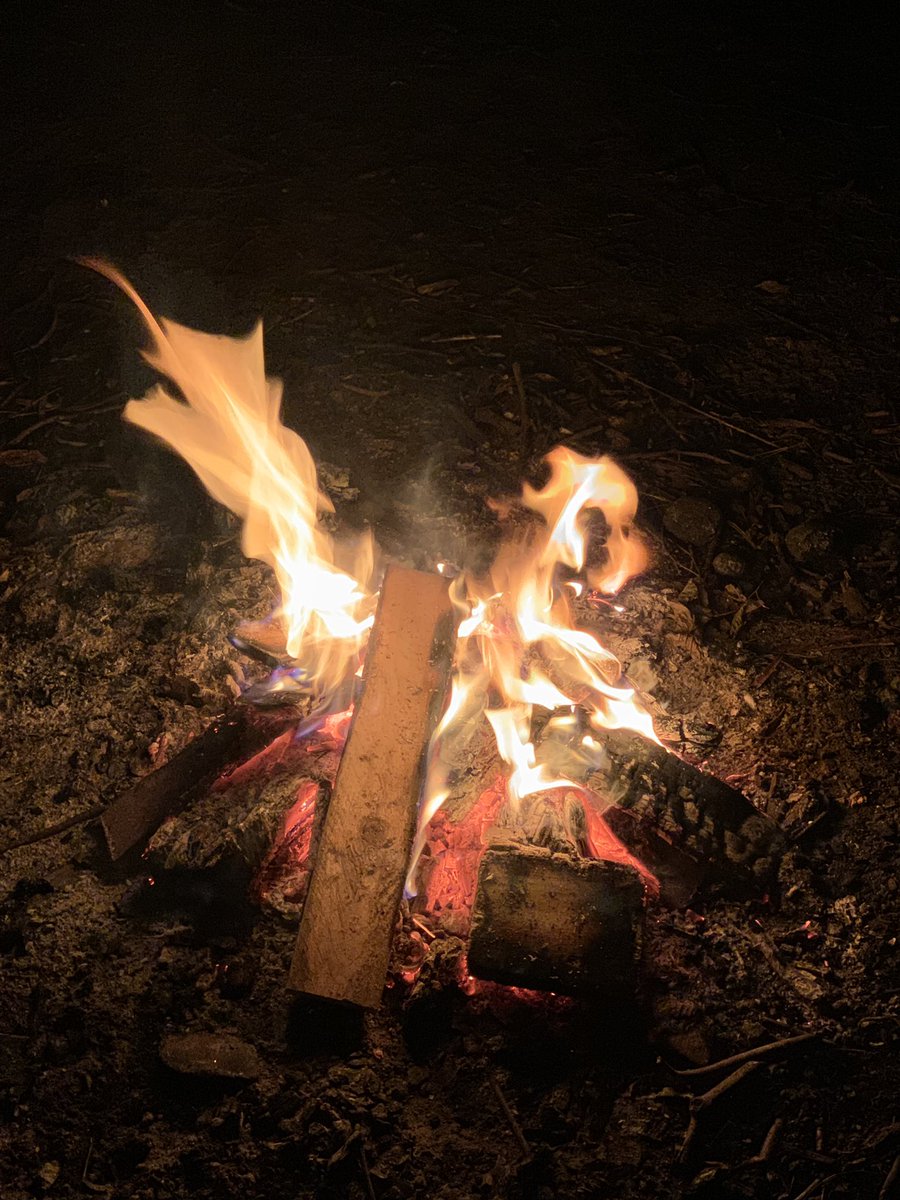 4thWeyScoutGroup tweet media