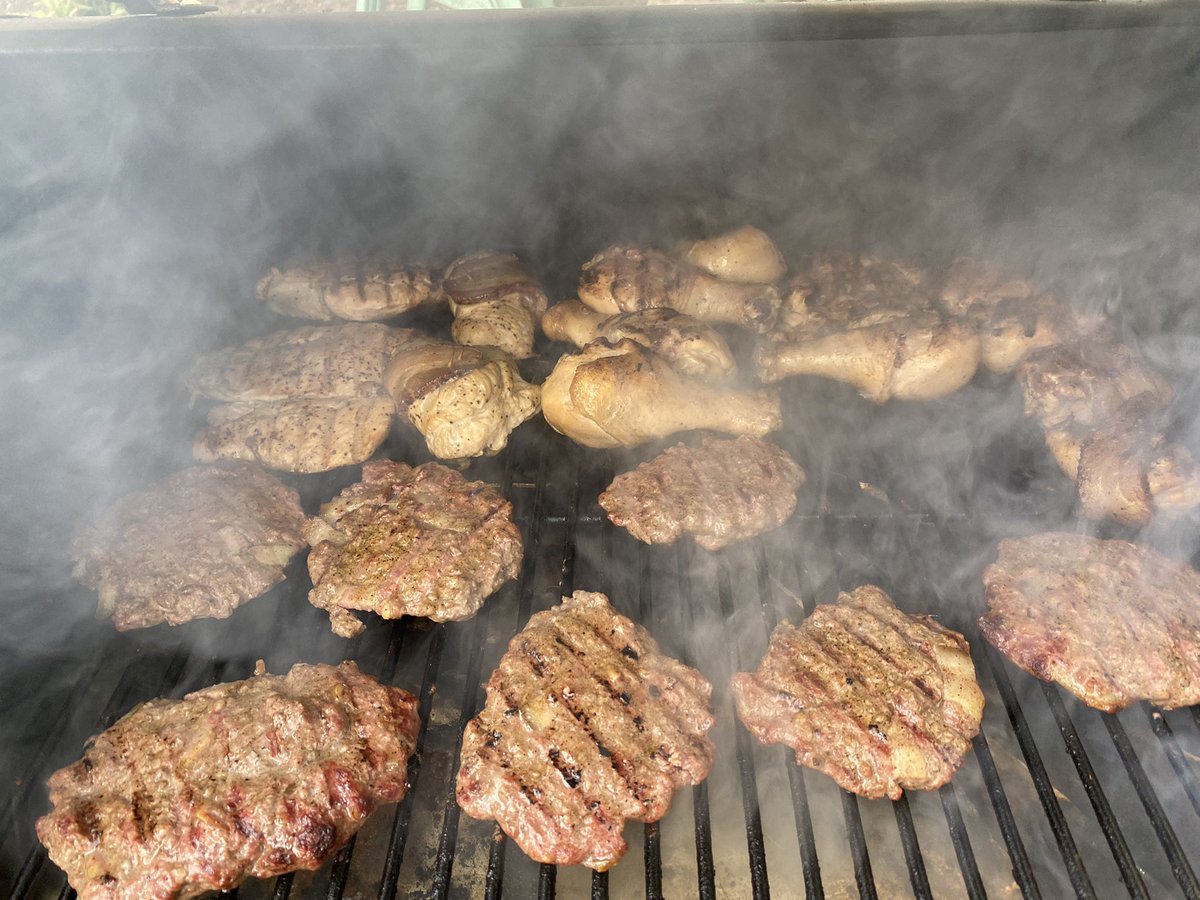 Peeking my head out from behind the screen. Today is about continuing work on Chapters 4 &amp; 5 and BBQing for the entire family. #BackyardOasis #Dissertation #PhDLife