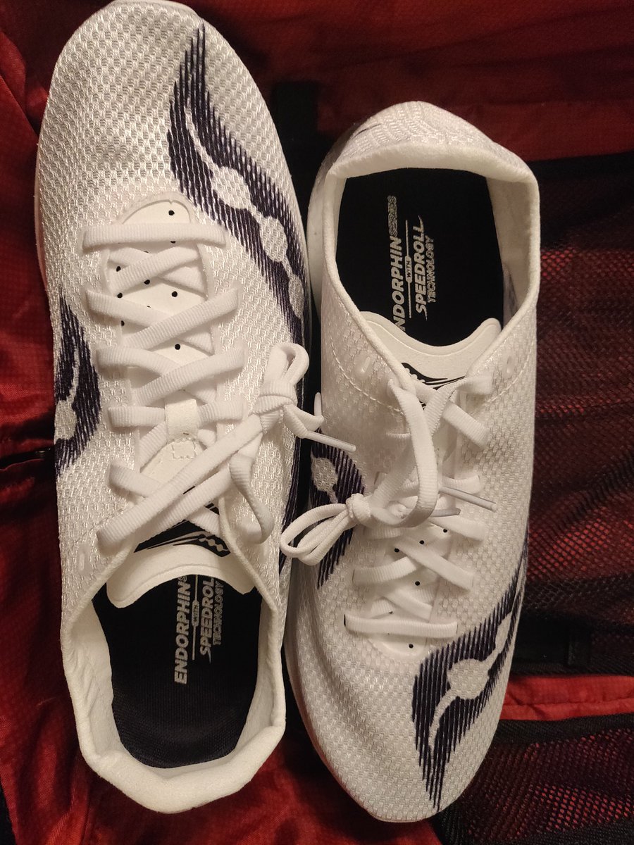 jwardy21's tweet photo. Breaking in racing shoes is for noobs.
As is forgetting to pack them...
Headed to Germany. Got my new shoes.
Limited edition @saucony #endorphinPROplus comes out 9/28. After I try to PR a 10k in them 9/22.
@CitiusMag with the coverage. https://t.co/0IyXPv2tun