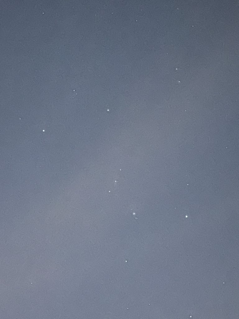 モスモス オリオン座が見える T Co Lrfgxliwet Twitter