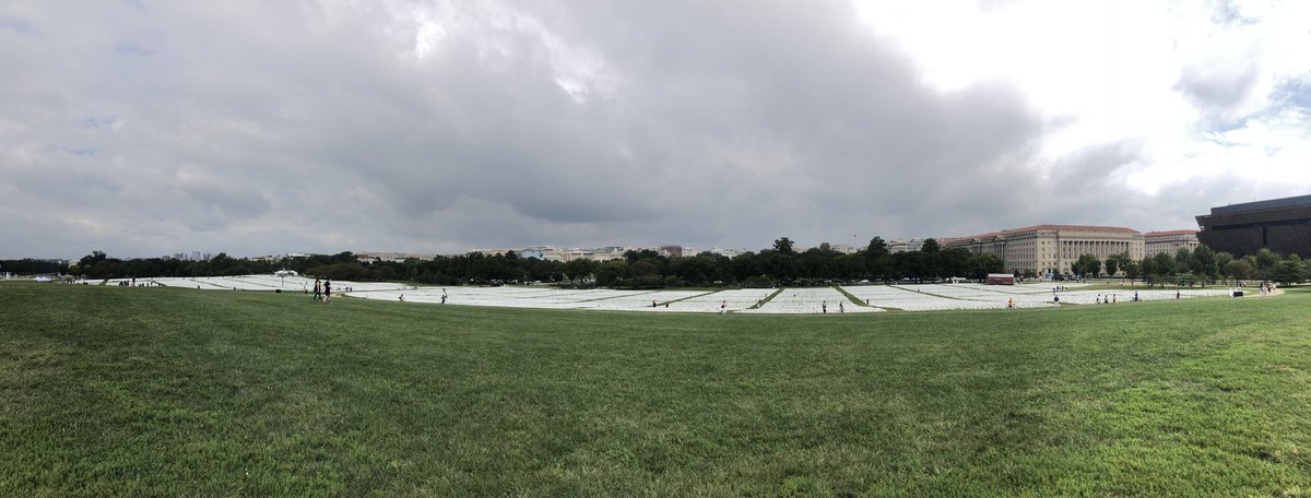 As all eyes are on the Capitol today, on the other side of the National Mall is a new reminder of the pandemic’s toll on the U.S.: An art exhibition by Suzanne Brennan Firstenberg, through Oct. 3. Visitors are lining up at a booth to write remembrances to loved ones on flags.
