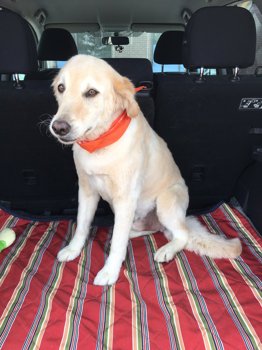 Gilda Carbone tweet media